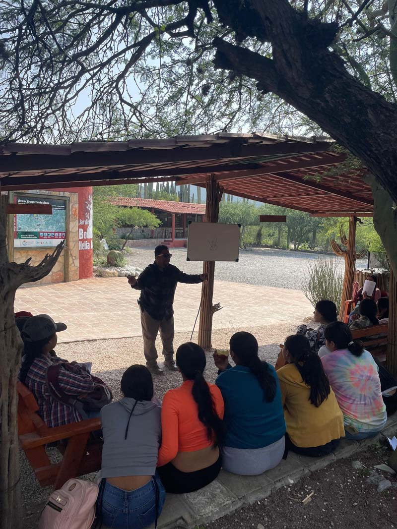 Descubre el Jardín Botánico Helia Bravo Hollis, joya natural de Zapotitlán Salinas, Puebla