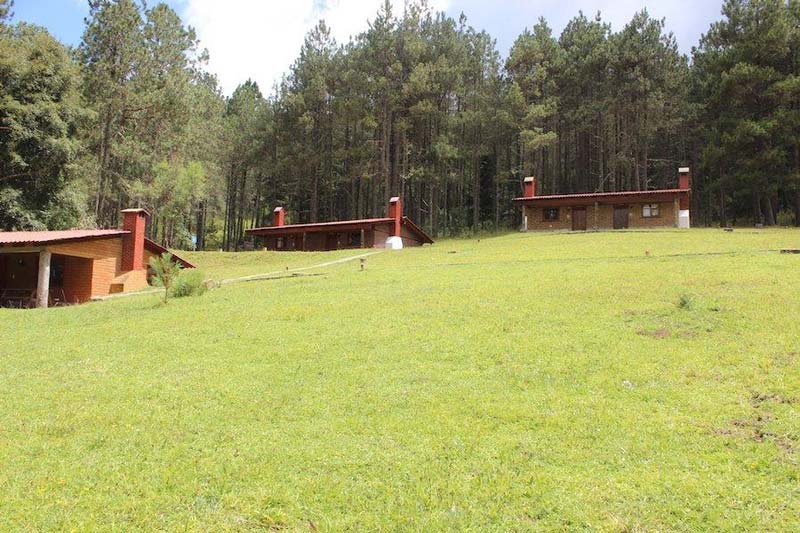 Descubre San Juan Atepec, el paraíso de niebla y bosque en Oaxaca