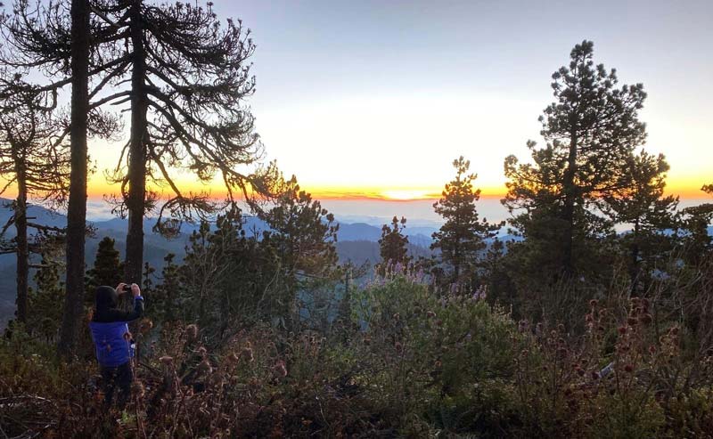 Descubre San Juan Atepec, el paraíso de niebla y bosque en Oaxaca
