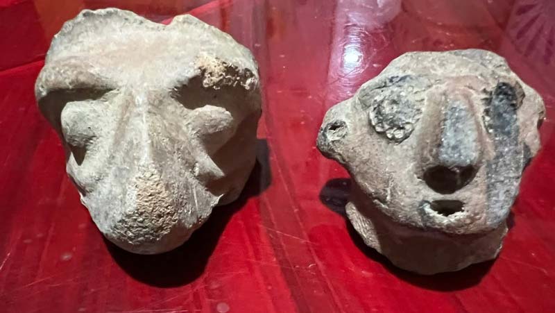 Descubren piezas históricas en Tianguizolco, región con raíces indígenas