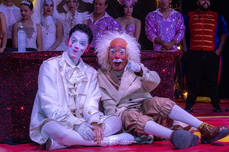 El Circo de La Última Estrella sorprende en Puebla con 35 artistas y música en vivo