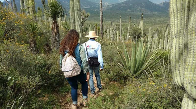 El desierto de Puebla que alguna vez fue océano: descubre San Juan Raya