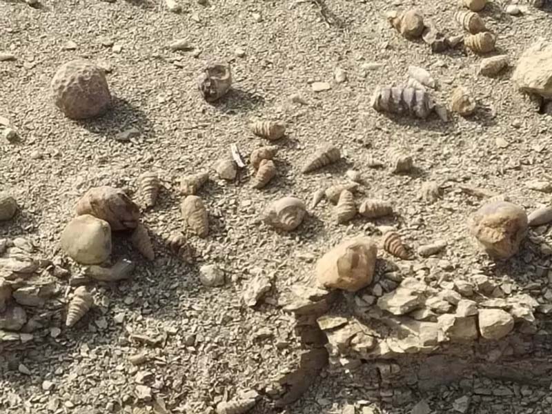 El desierto de Puebla que alguna vez fue océano: descubre San Juan Raya