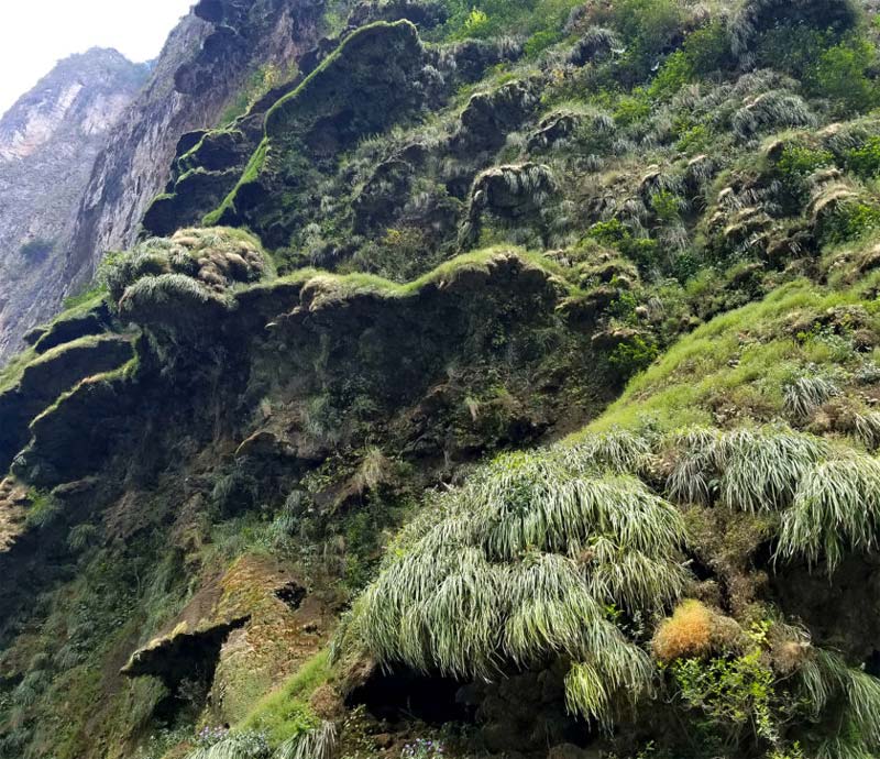 El impresionante Cañón del Sumidero: el destino que todos quieren visitar en Chiapas