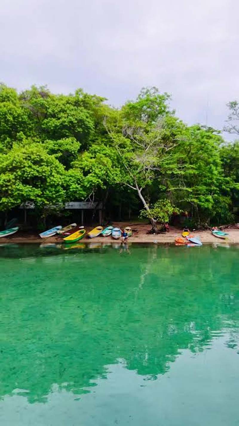 Laguna Miramar, Chiapas: historia maya, naturaleza y el increíble paisaje escondido en la Selva Lacandona
