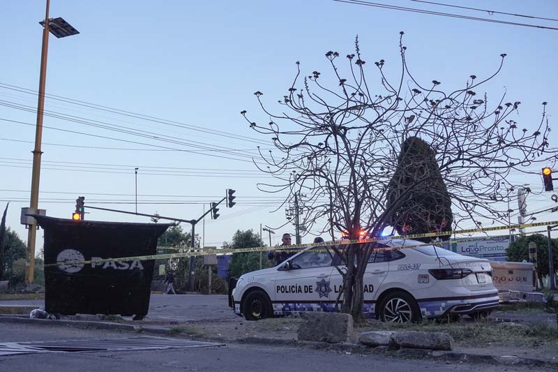 Encuentran feto en contenedor de basura en Bosques de San Sebastián