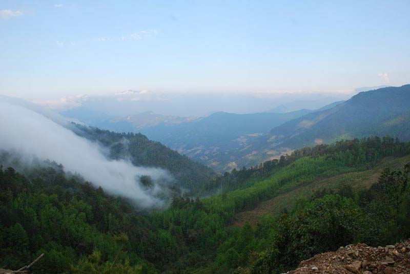 Entre neblina y historia: así es Guelatao de Juárez, Oaxaca cuna de Benito Juárez