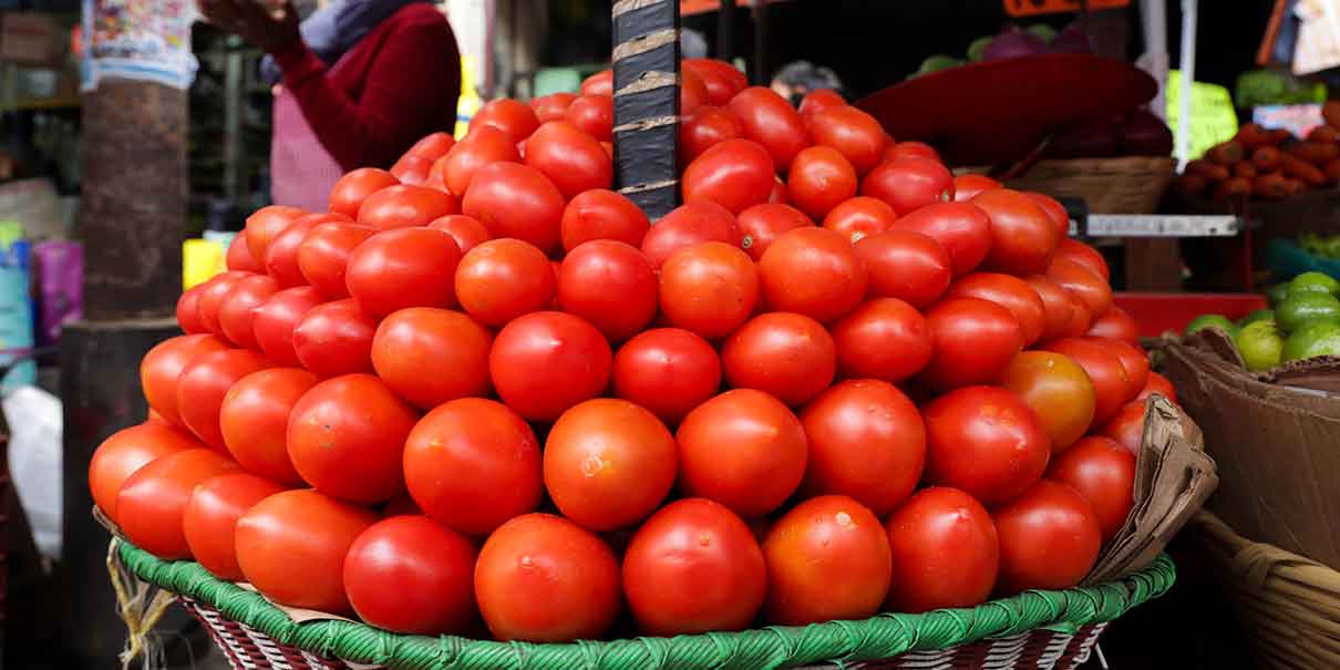Exportación de tomate