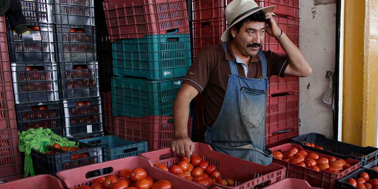 Exportación de tomate