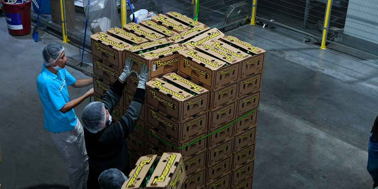 Exportaciones