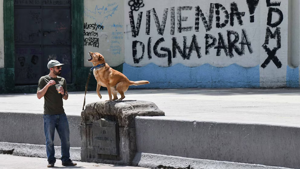 Gentrificación