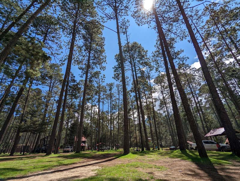 Las Grutas de Rancho Nuevo, ubicadas entre los bosques de los Altos de Chiapas, ofrecen aventura, historia y un impresionante recorrido por la naturaleza subterránea