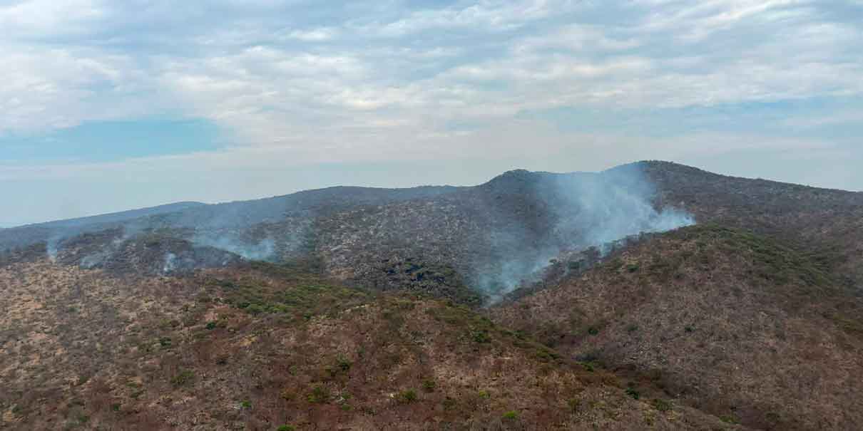 Incendio forestal