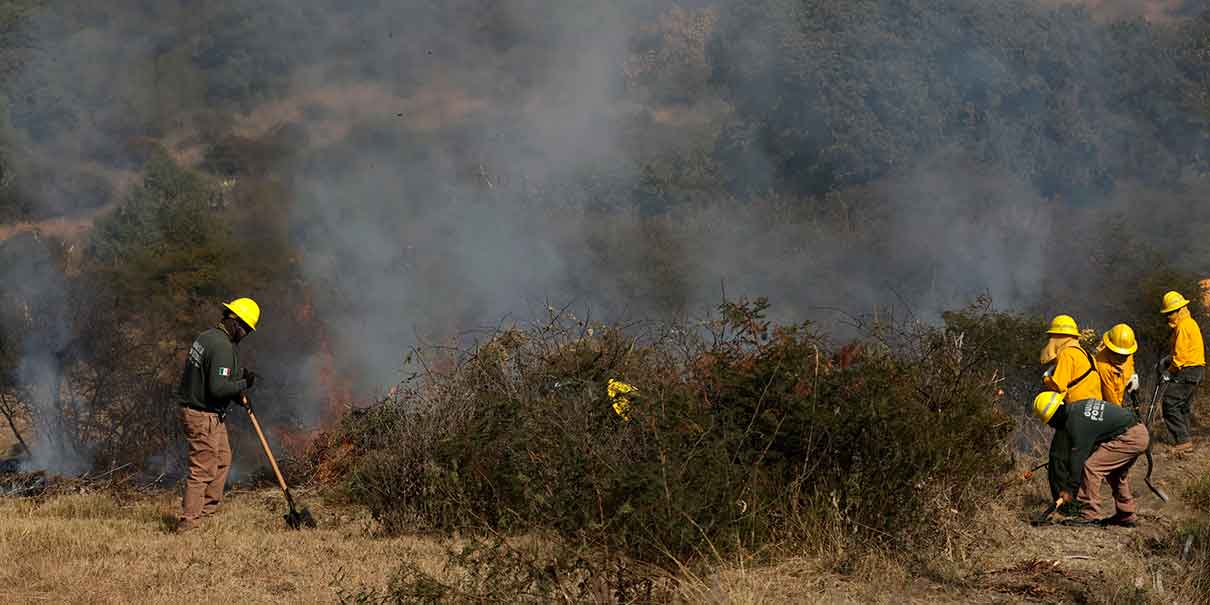Incendio forestal