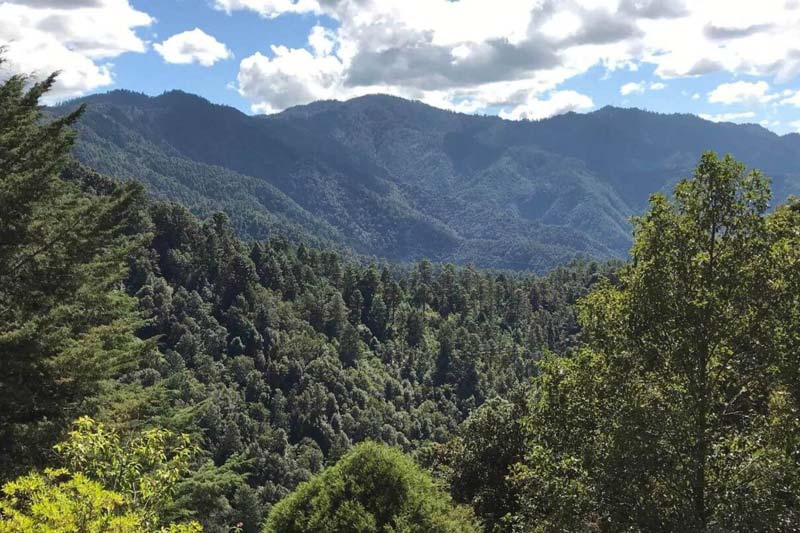 Ixtlán de Juárez, Oaxaca: el paraíso del ecoturismo donde historia y naturaleza se encuentran