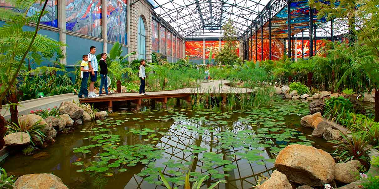 Cosmovitral Jardín Botánico