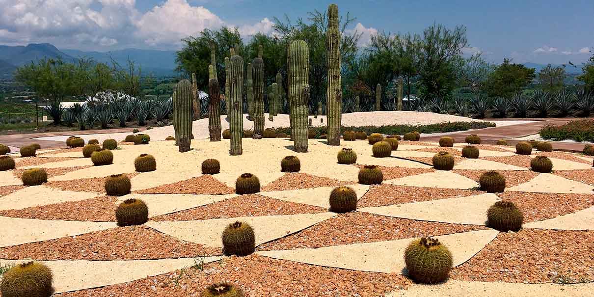 Jardín de Cactáceas