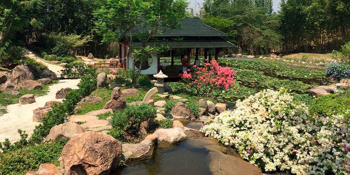 Jardín Japonés: armonía y contemplación