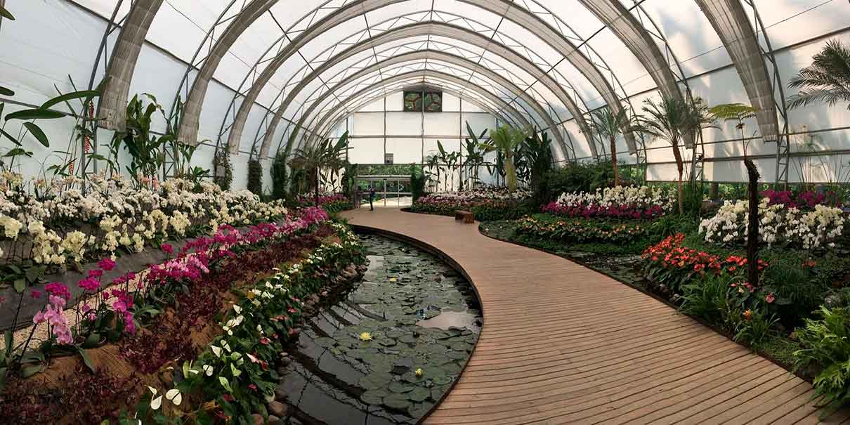 Jardín Tropical