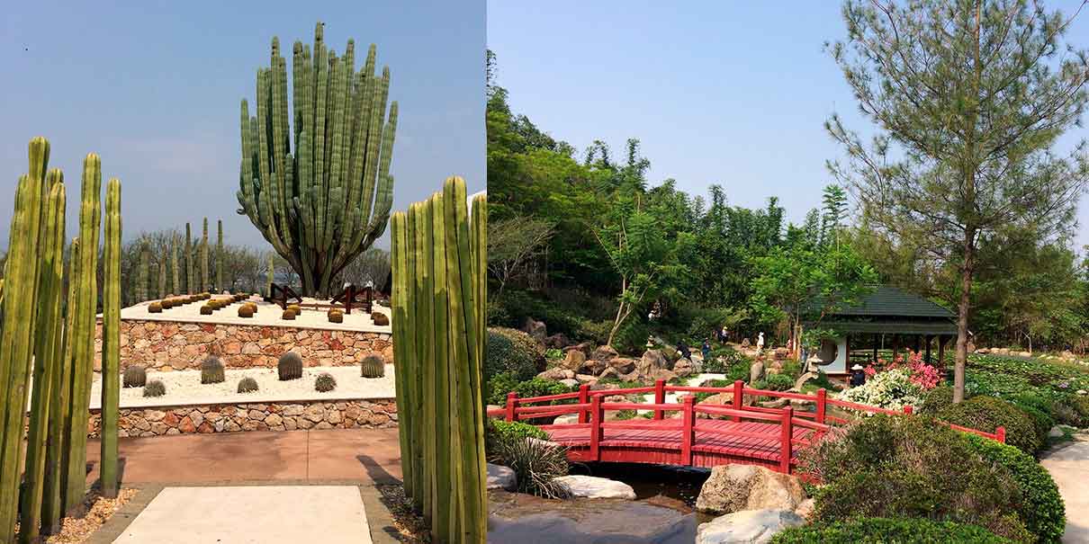 Jardines de México