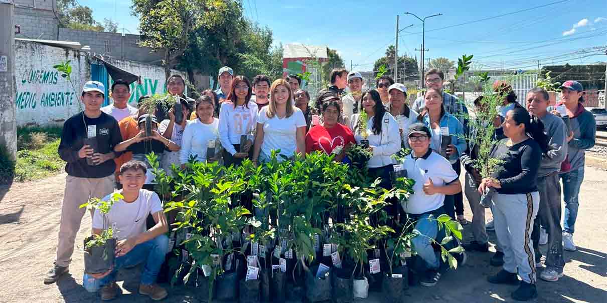 Jornada de reforestación