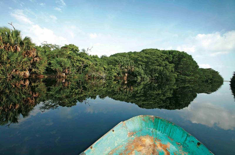 La Ventanilla Oaxaca: manglares, cocodrilos y ecoturismo en un destino único