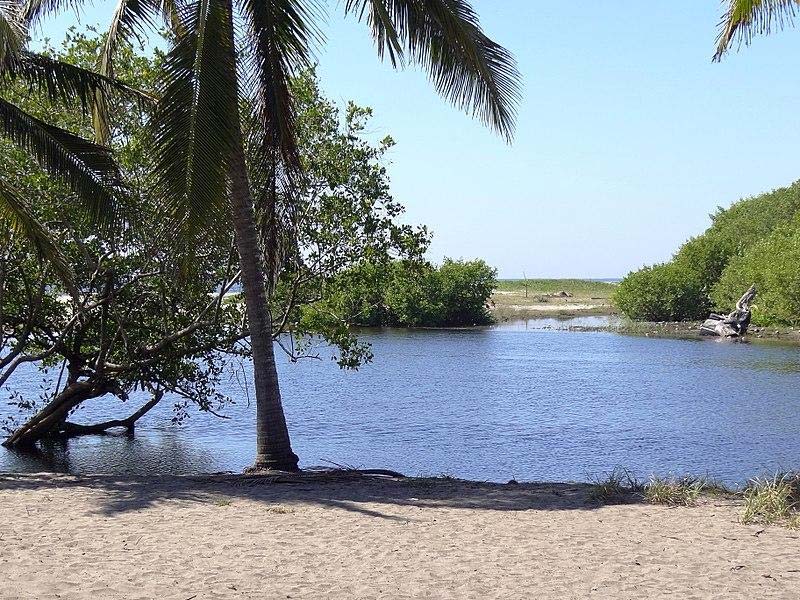 La Ventanilla Oaxaca: manglares, cocodrilos y ecoturismo en un destino único