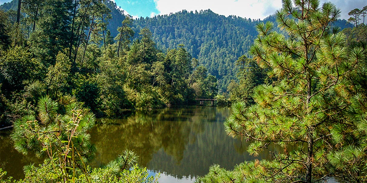 Laguna de Zempoala