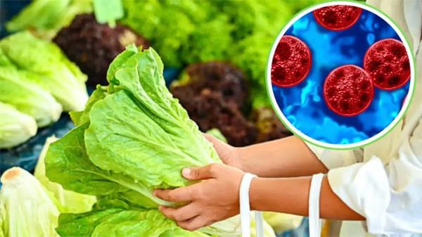 Lechuga mexicana también enfrenta investigaciones