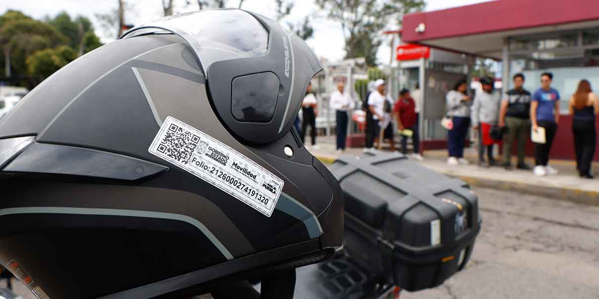 Ley Casco
