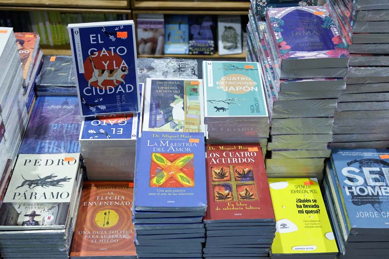 Lilia Cedillo inauguró la Feria Nacional del Libro en El Carolino
