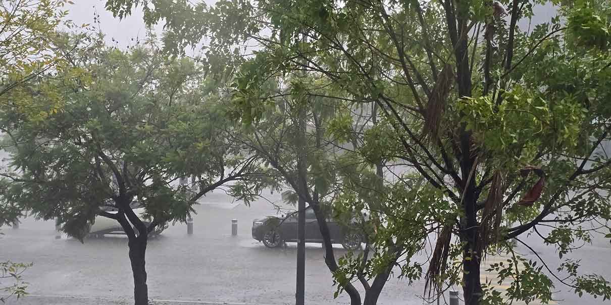 Lluvias 
