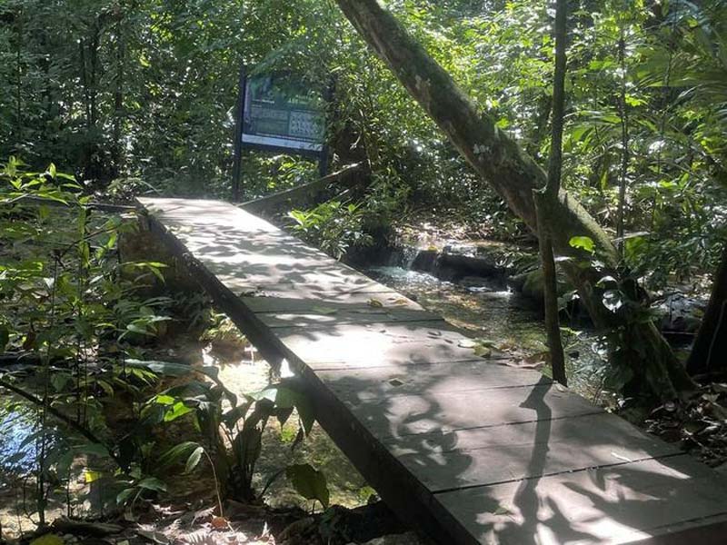Nahá, Chiapas: el paraíso escondido de la Selva Lacandona donde la naturaleza y la cultura maya permanecen intactas