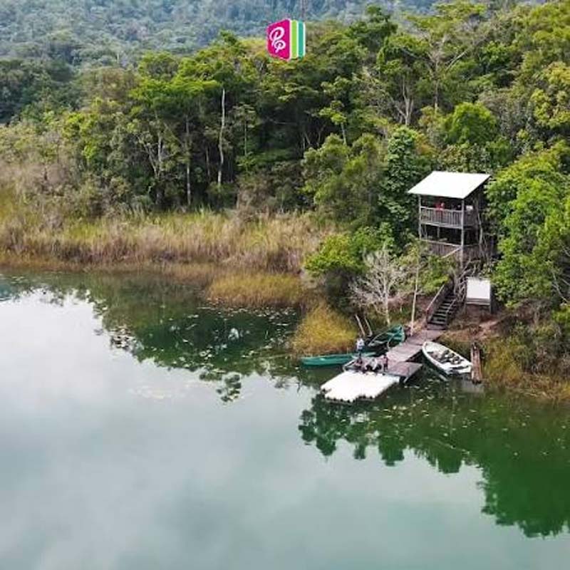Nahá, Chiapas: el paraíso escondido de la Selva Lacandona donde la naturaleza y la cultura maya permanecen intactas