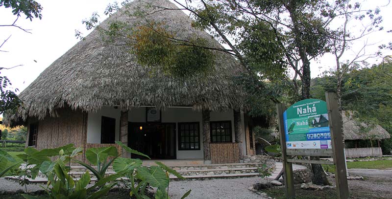 Nahá, Chiapas: el paraíso escondido de la Selva Lacandona donde la naturaleza y la cultura maya permanecen intactas