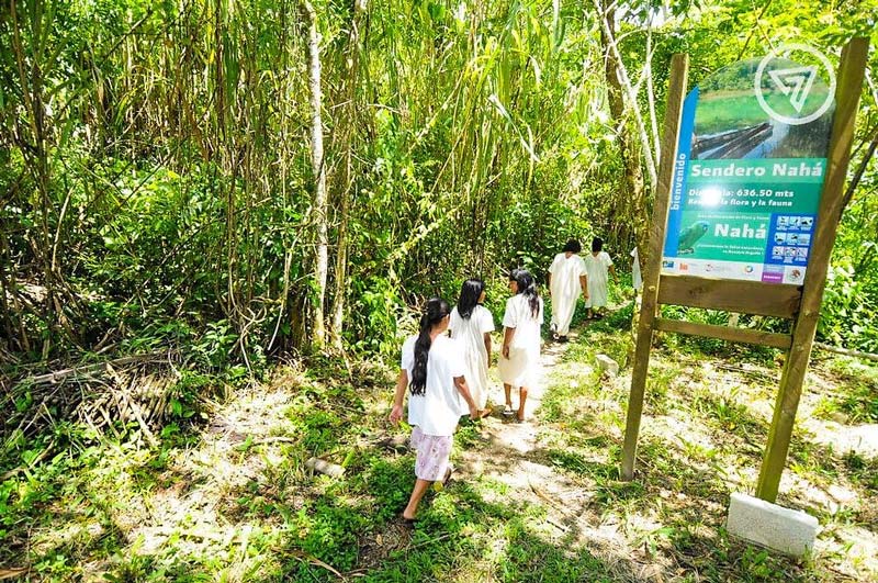 Nahá, Chiapas: el paraíso escondido de la Selva Lacandona donde la naturaleza y la cultura maya permanecen intactas