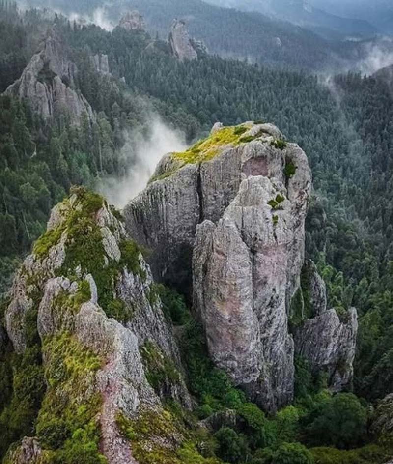 El Monte Vedado del Mineral del Chico fue declarado Bosque Nacional en 1898.