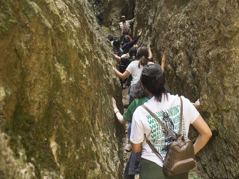 Senderos autoguiados para disfrutar de la tranquilidad del bosque.