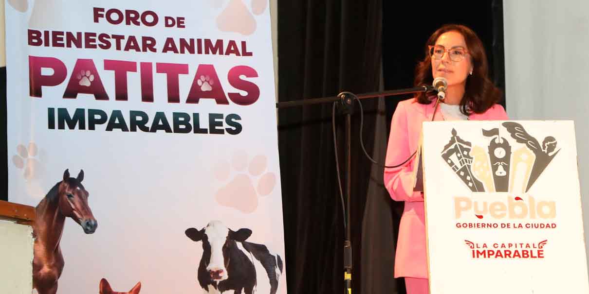 Bienestar Animal