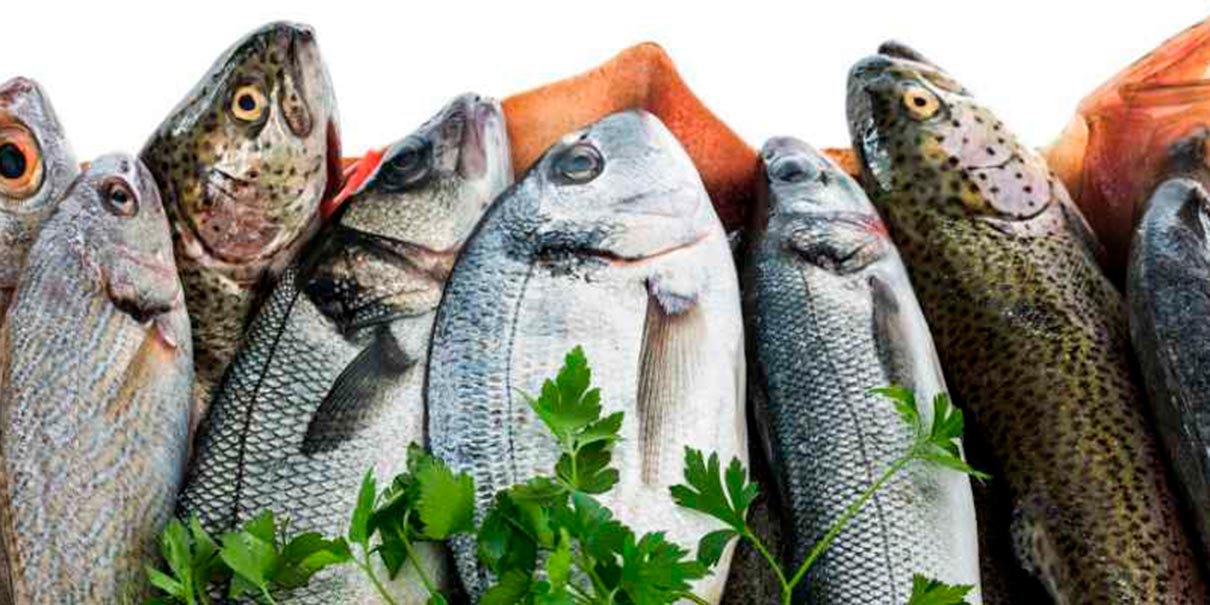 Pescado nutritivo