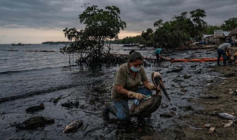 Pescadores señalan omisiones y contradicciones tras crisis ambiental en el Golfo de México
