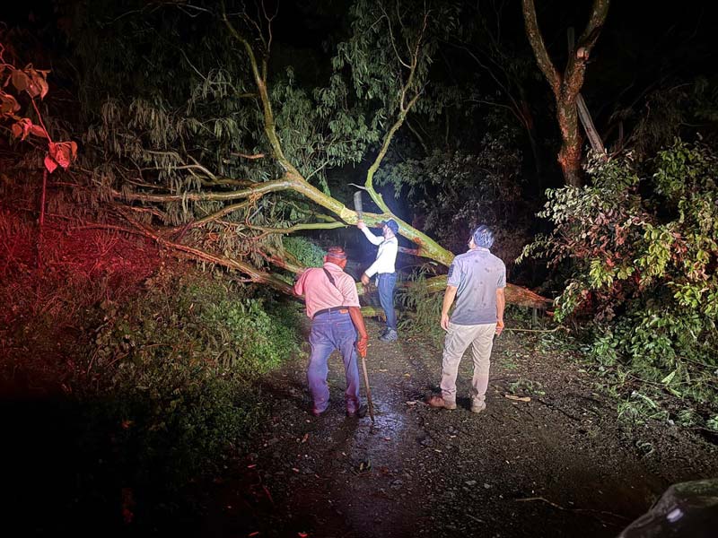 Lluvias en Puebla dejan árboles caídos; atienden afectaciones en Acatlán y Ajalpan