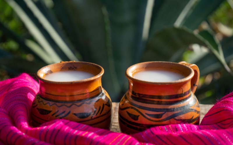 Pulque en Atlixco: tradición al borde del olvido tras medio siglo de abandono
