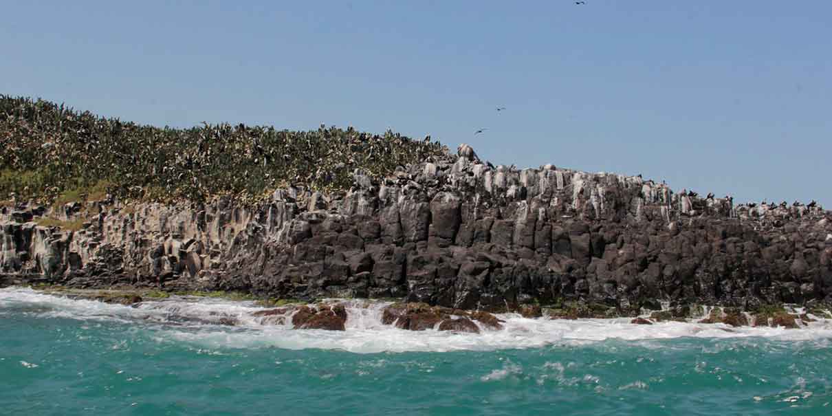 Punta Roca Partida,