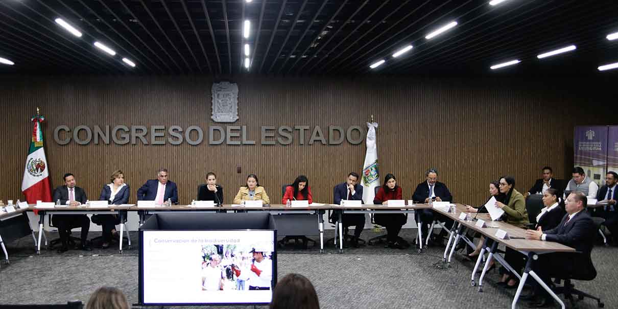 Comparecencia 