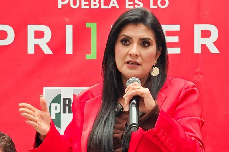 Delfina Pozos Vergara afirmó que los comentarios de Nayeli Salvatori y Grace Palomares reflejan los perfiles que Morena impulsa para ocupar cargos públicos