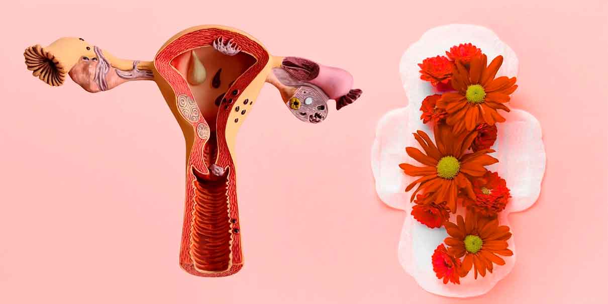 menstruación 