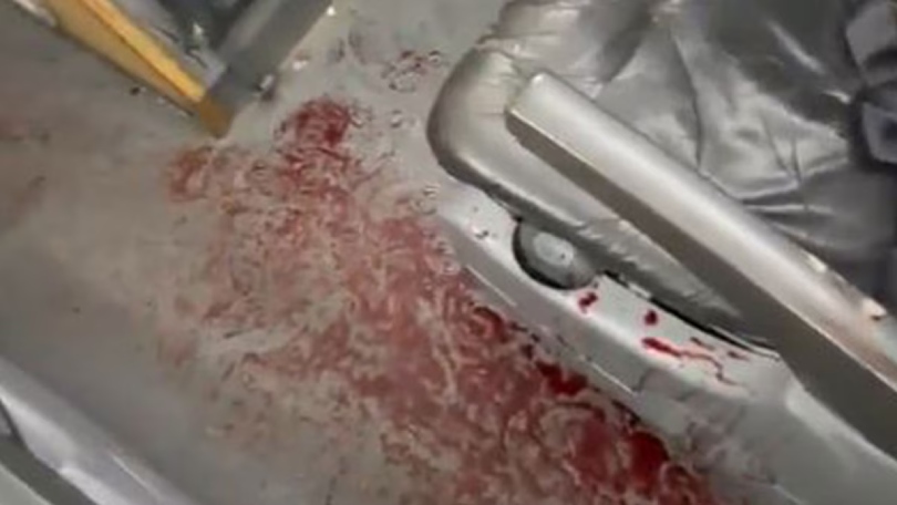 sangre