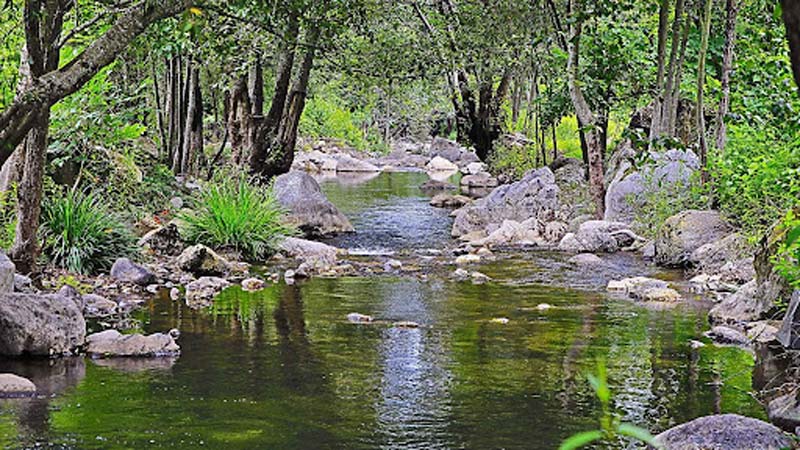 Santa María Yavesía, el tesoro natural de la Sierra Norte de Oaxaca