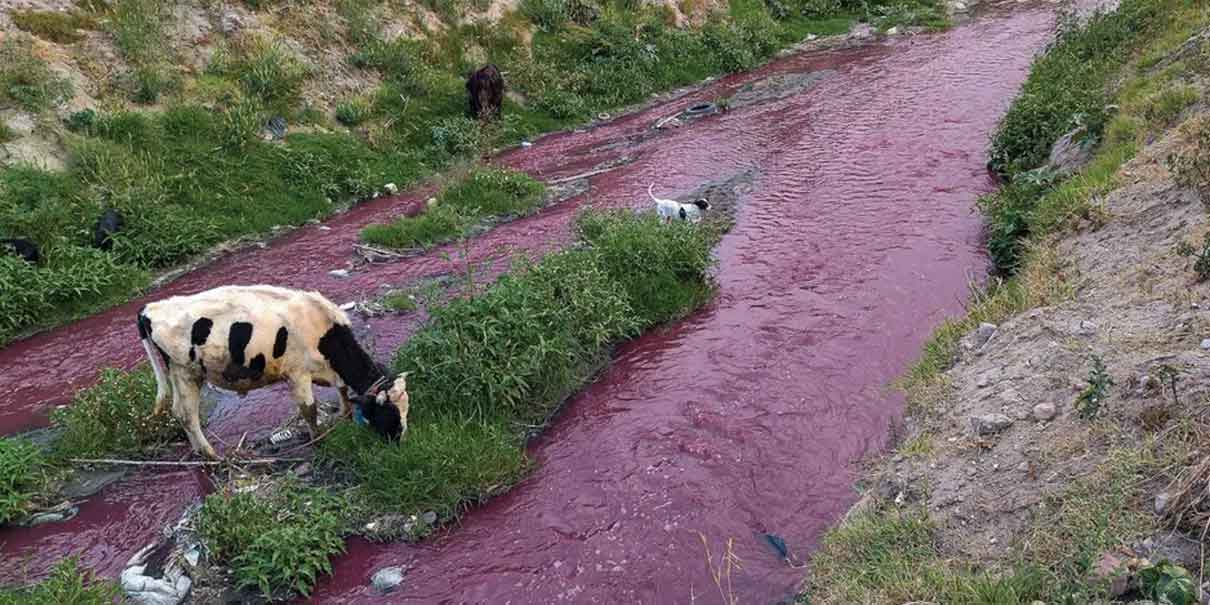 Sheinbaum insistió a industrias no tirar desechos al río Atoyac